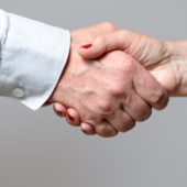 Vorstand / Geschäfts-führung